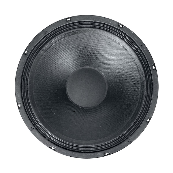 12in Coax Speaker 150W